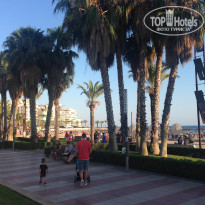 фото из отзыва ID 1498379