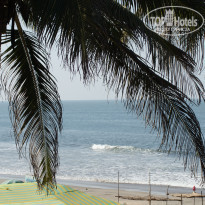 фото из отзыва ID 1498488