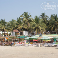 фото из отзыва ID 1498488