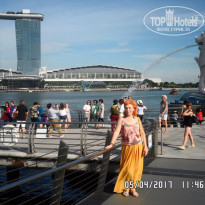 фото из отзыва ID 1498509