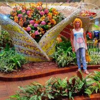 фото из отзыва ID 1498509