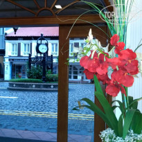 фото из отзыва ID 1498509