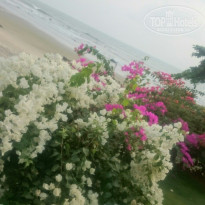 фото из отзыва ID 1498524