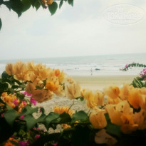 фото из отзыва ID 1498524