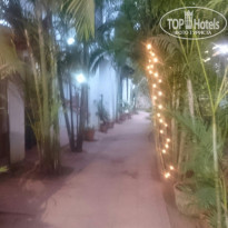 фото из отзыва ID 1498524