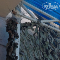 фото из отзыва ID 1498645