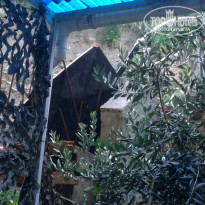 фото из отзыва ID 1498645