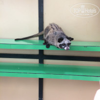 фото из отзыва ID 1498771