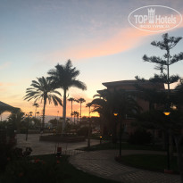 фото из отзыва ID 1498810