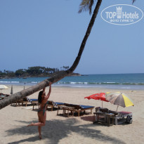 фото из отзыва ID 1498299