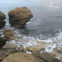 фото из отзыва ID 1497493