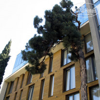 фото из отзыва ID 1498934