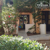 фото из отзыва ID 1499006