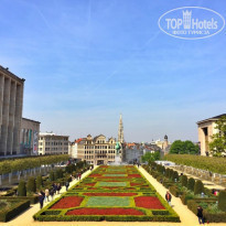 фото из отзыва ID 1499077