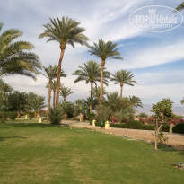 фото из отзыва ID 1499187