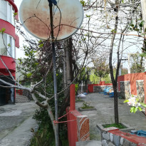 фото из отзыва ID 1499236