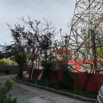 фото из отзыва ID 1499236