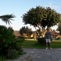 фото из отзыва ID 1499306