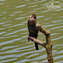 фото из отзыва ID 1499271