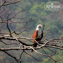 фото из отзыва ID 1499271