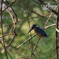 фото из отзыва ID 1499271