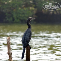 фото из отзыва ID 1499271