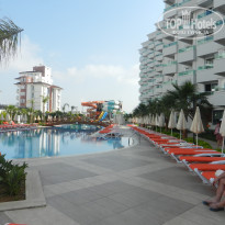 фото из отзыва ID 1499371