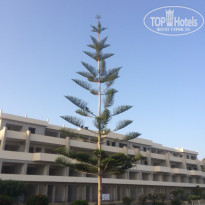 фото из отзыва ID 1499400