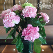 фото из отзыва ID 1499356