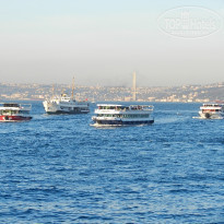 фото из отзыва ID 1499643