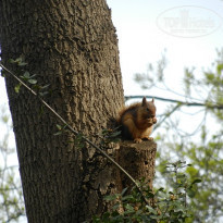 фото из отзыва ID 1499643