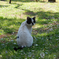 фото из отзыва ID 1499643