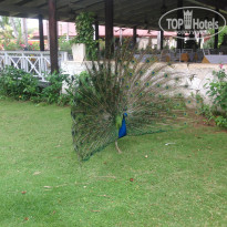 фото из отзыва ID 1499644