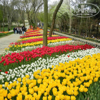 фото из отзыва ID 1499643