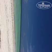 фото из отзыва ID 1499677