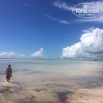 фото из отзыва ID 1499677