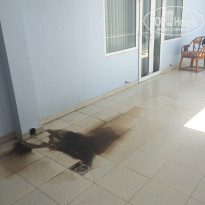 фото из отзыва ID 1499766