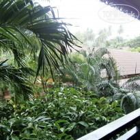 фото из отзыва ID 1499784