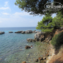 фото из отзыва ID 1499803