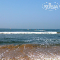 фото из отзыва ID 1499853