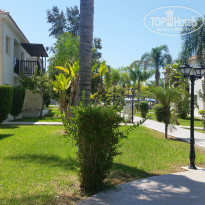 фото из отзыва ID 1494900