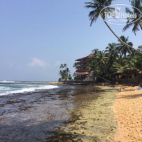 фото из отзыва ID 1497126