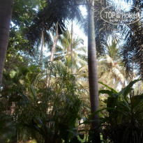 фото из отзыва ID 1494429