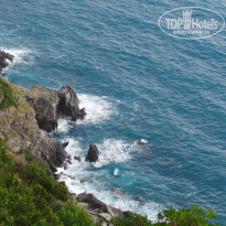 фото из отзыва ID 1498467