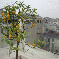 фото из отзыва ID 1497620