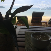 фото из отзыва ID 1498133