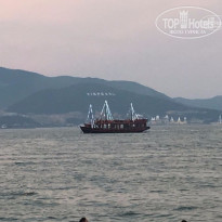 фото из отзыва ID 1499001