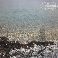 фото из отзыва ID 1497435