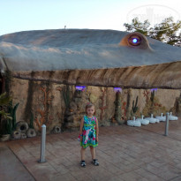 фото из отзыва ID 1497789