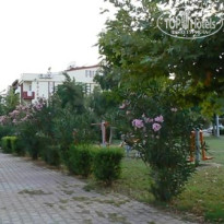 фото из отзыва ID 150397